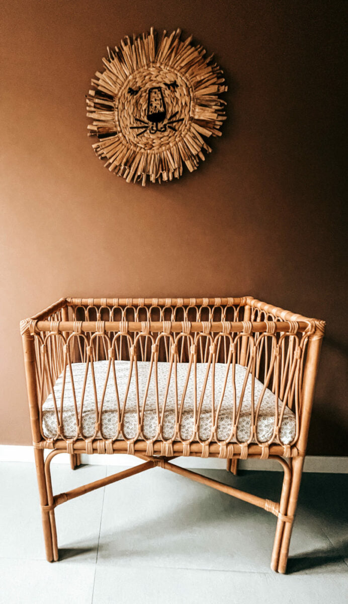Rotan Leeuw